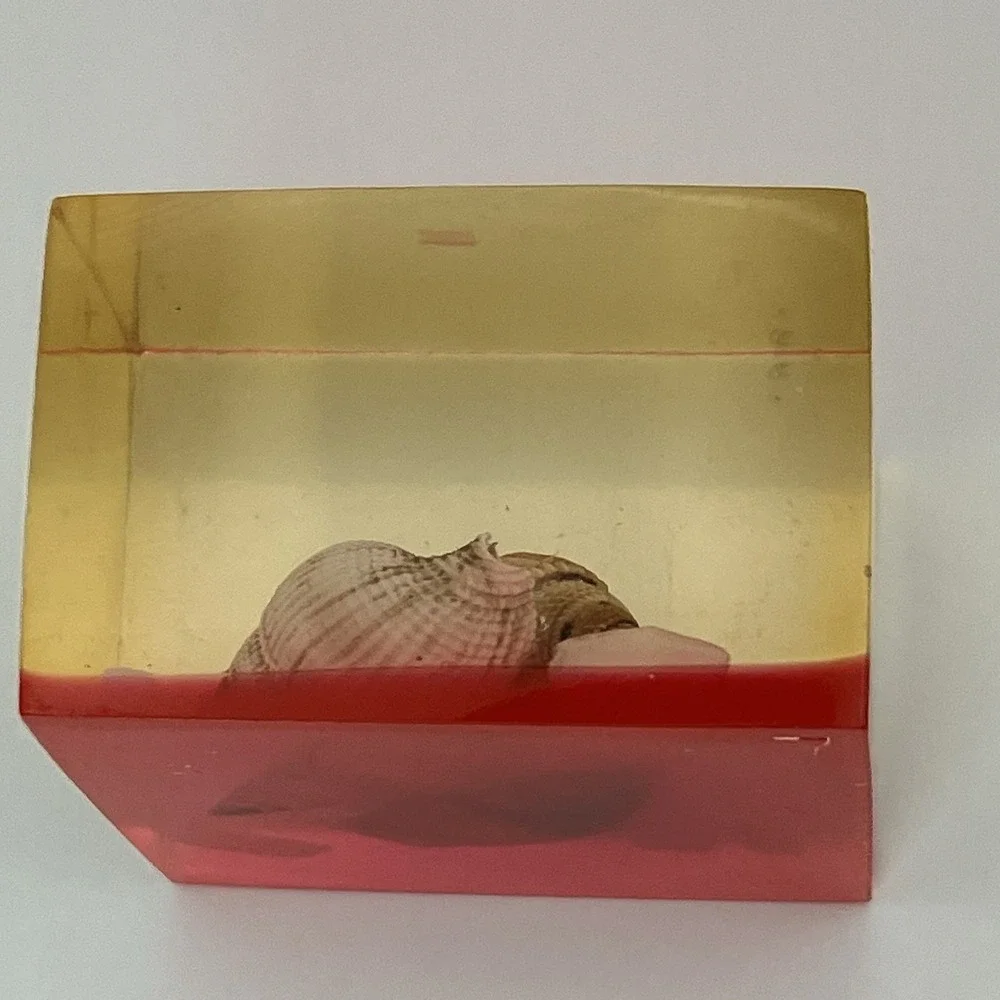 Vtg Lucite Resin Sea Shell Paperweight MCM Beach Coastal Desk Decor Whimsical
